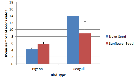 How is an Experiment Created? A walkthrough with help from some birds ...